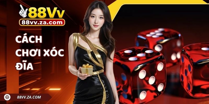 Hướng Dẫn Cách Chơi Xóc Đĩa Cơ Bản Trên Nhà Cái 88VV